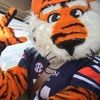 aubie89